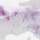 Image for article titled The Best Data Visualizations of 2014
